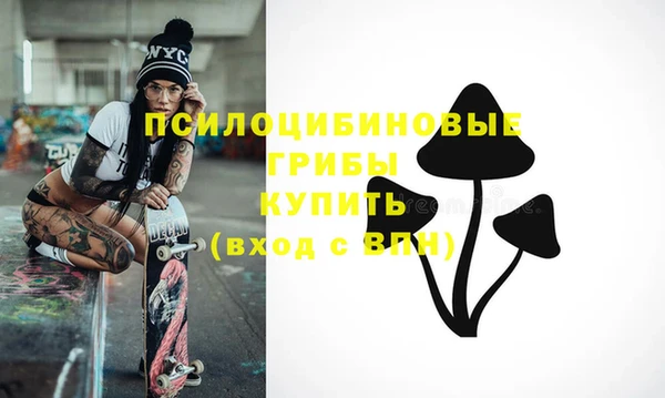 экстази Богородск