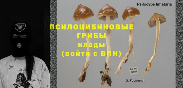 гашиш Богородицк