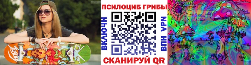 дарк нет состав  сколько стоит  Назарово  Псилоцибиновые грибы Psilocybine cubensis 